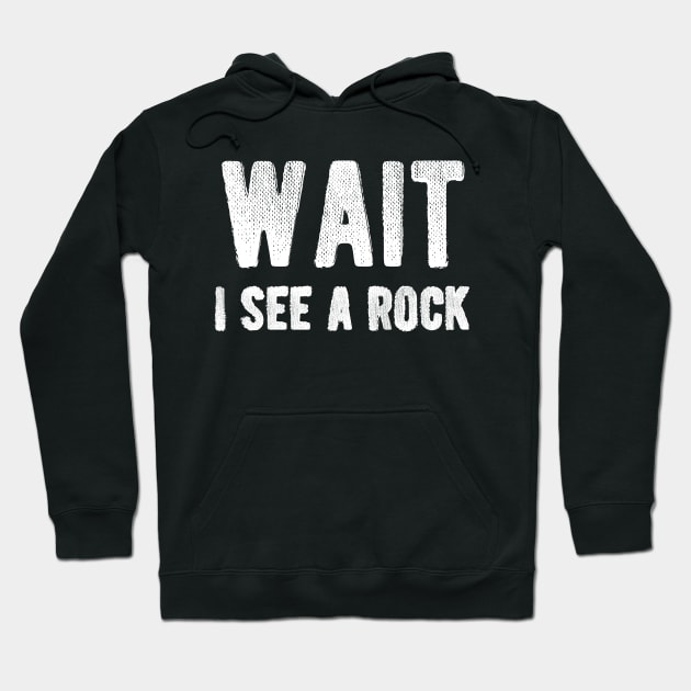 Geologist - Wait I see a rock Hoodie by KC Happy Shop